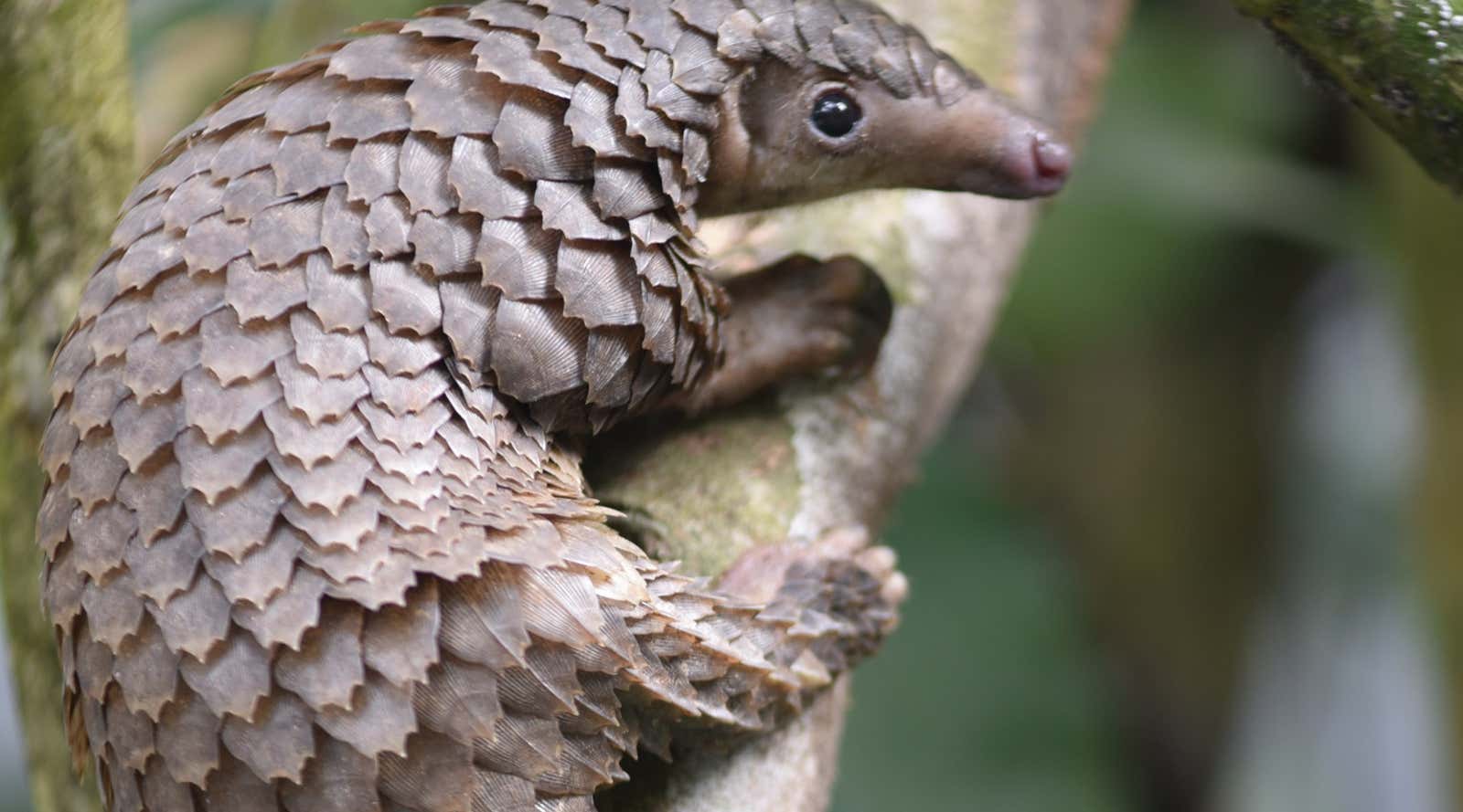 New Scientist. Science news and long reads from expert journalists, covering developments in science, technology, health and the environment on the website and the magazine.