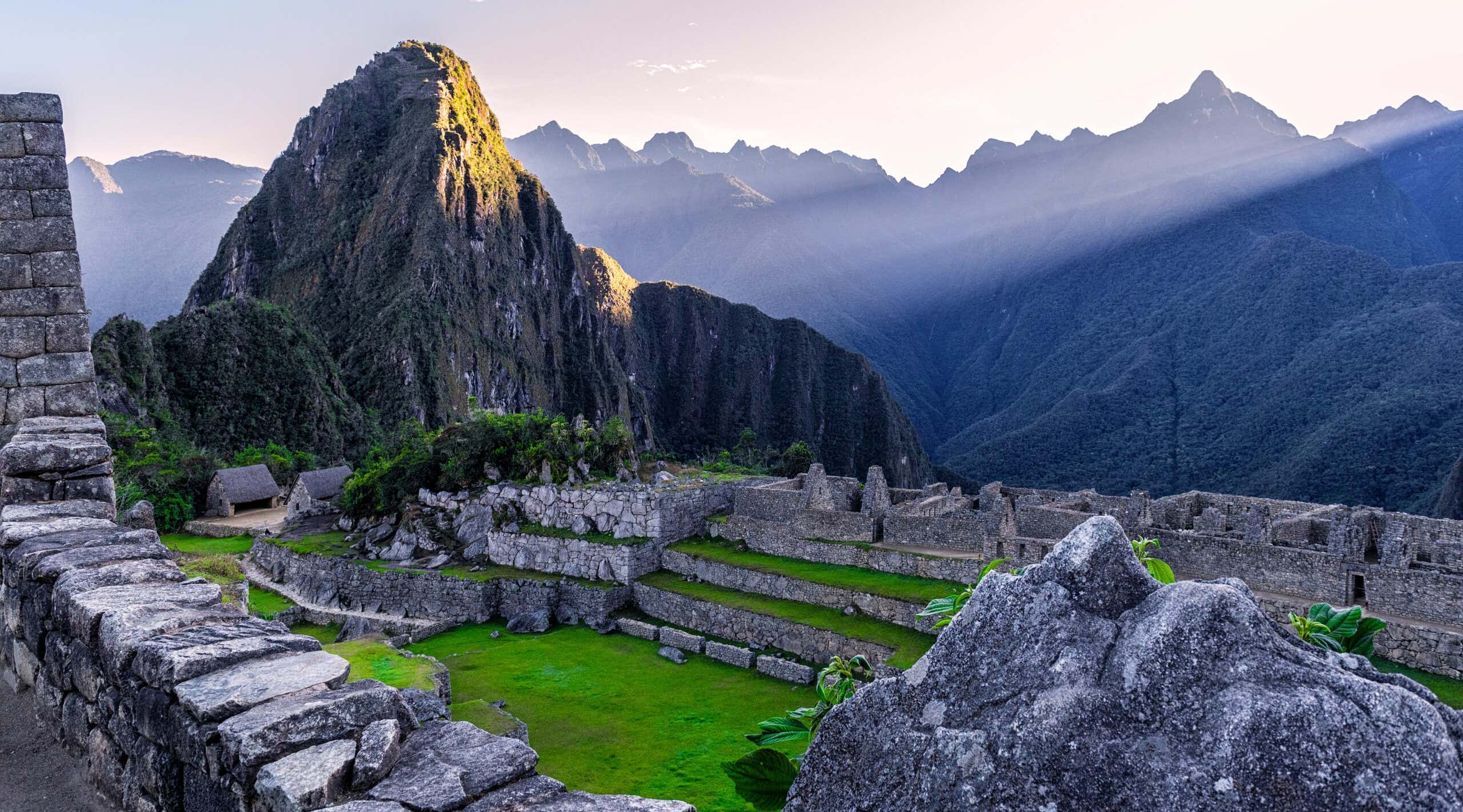 New Scientist. Science news and long reads from expert journalists, covering developments in science, technology, health and the environment on the website and the magazine.