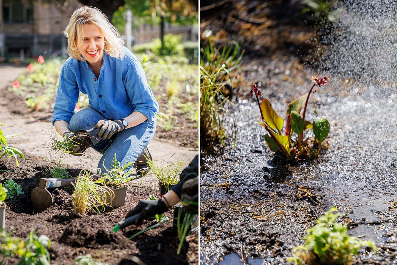 New Scientist. Science news and long reads from expert journalists, covering developments in science, technology, health and the environment on the website and the magazine.