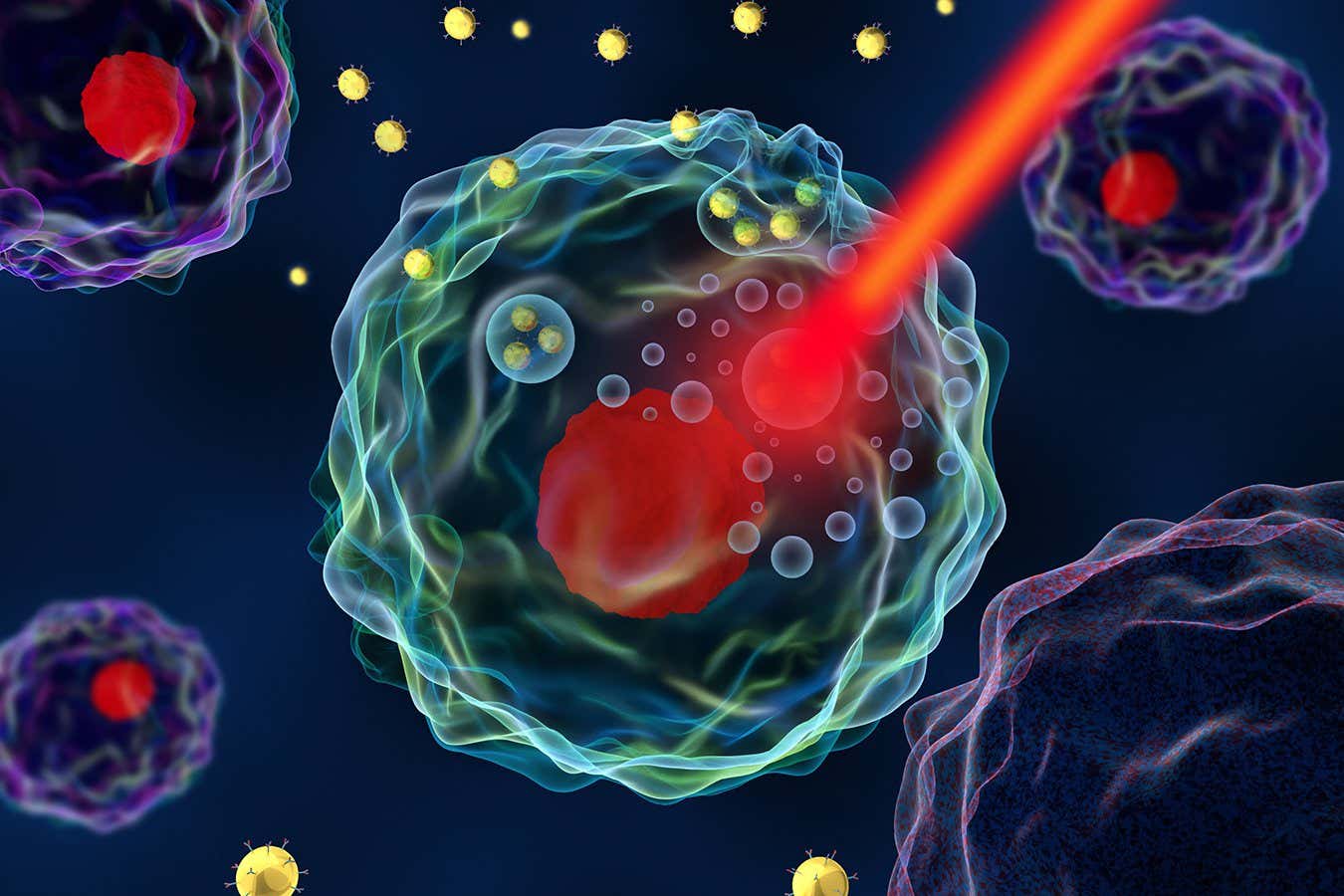 Protons can be used to kill cancer cells