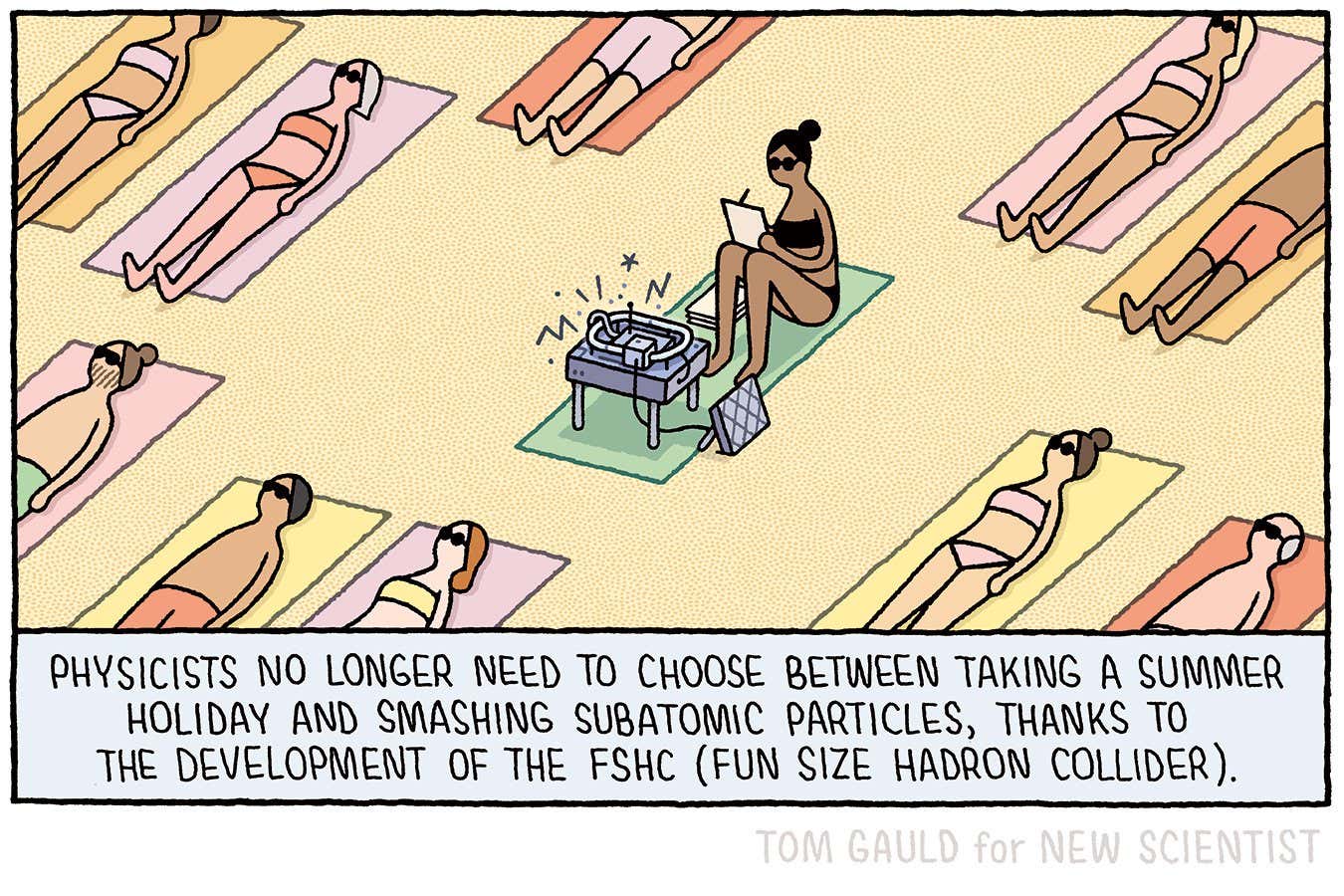 Tom Gauld on a physicist's summer holiday