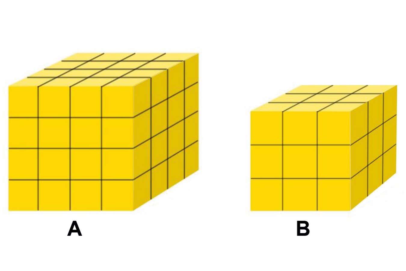 Puzzle #229: Can you help Madeline cube her cheese efficiently?
