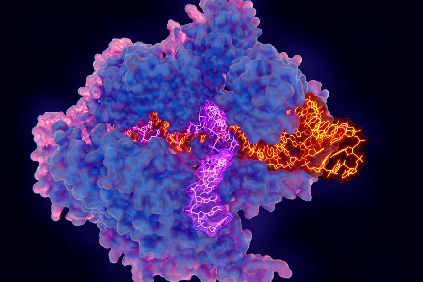T861Y1 CRISPR-Cas9 gene editing complex, illustration