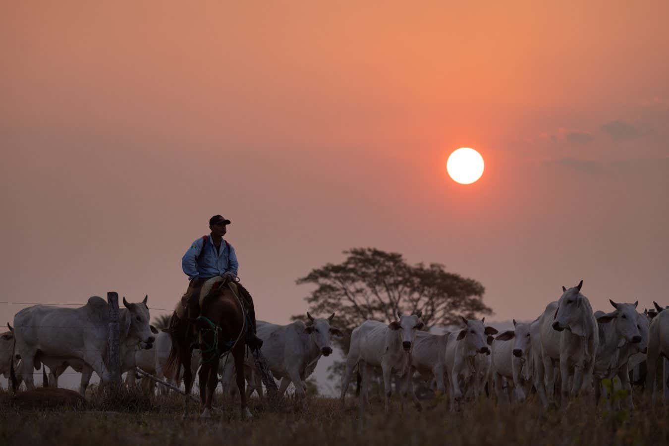 New Scientist. Science news and long reads from expert journalists, covering developments in science, technology, health and the environment on the website and the magazine.