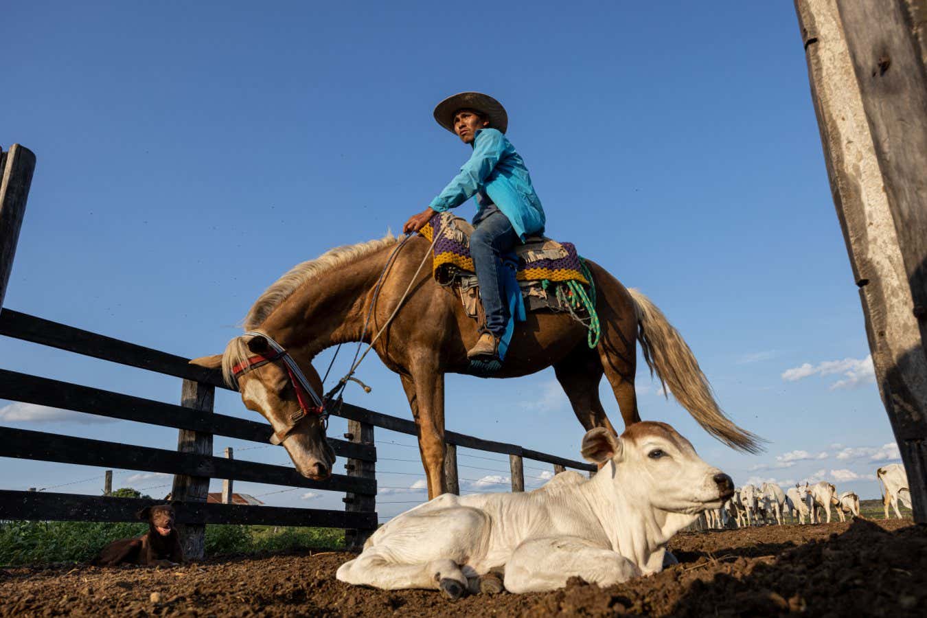 New Scientist. Science news and long reads from expert journalists, covering developments in science, technology, health and the environment on the website and the magazine.