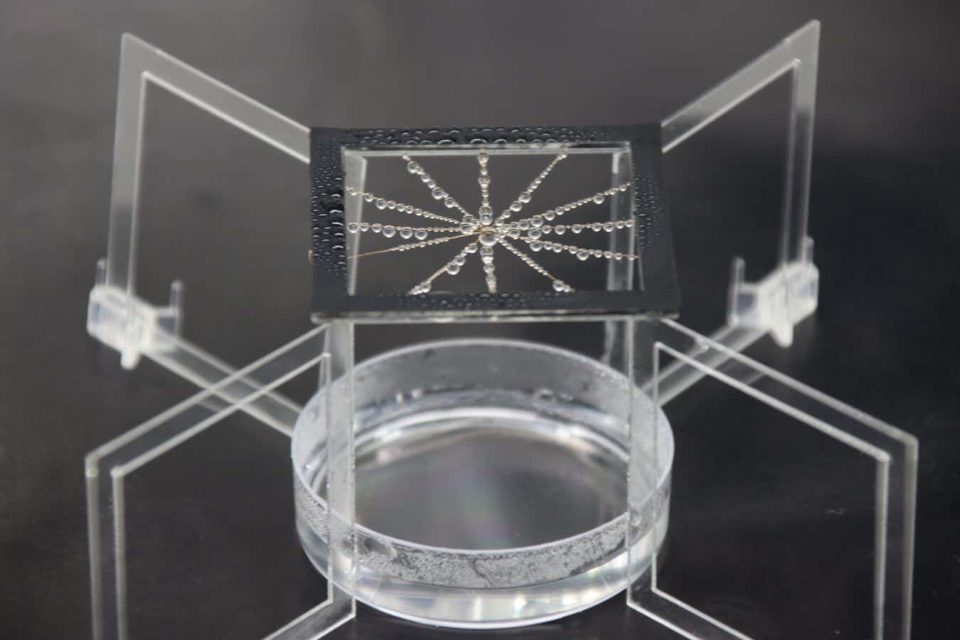 Device for water collection