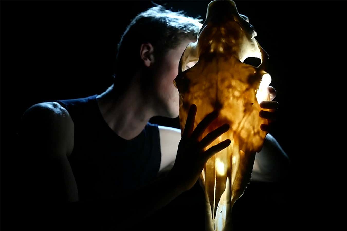 A man holds a horse skull over a black background