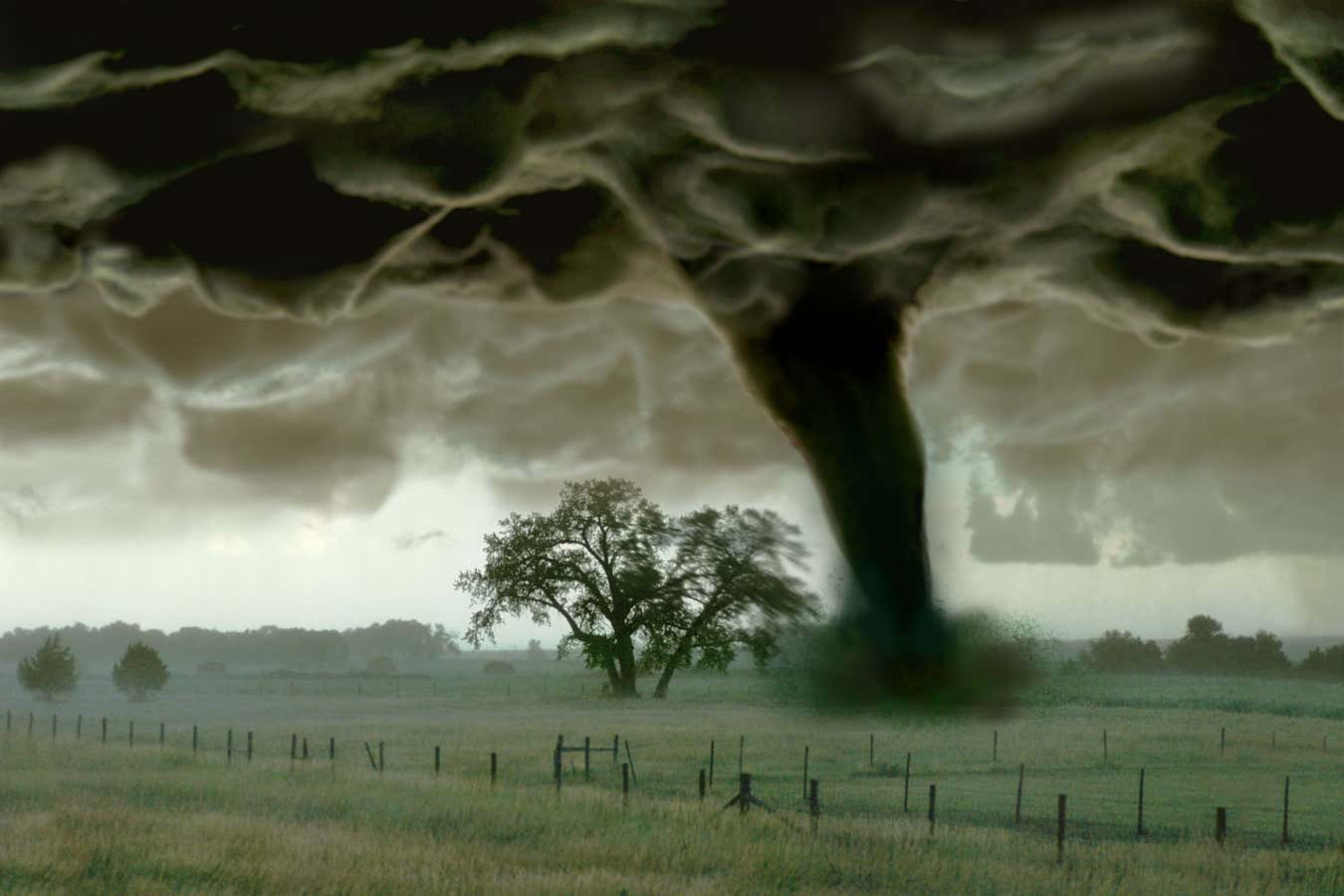 Tornado in a field