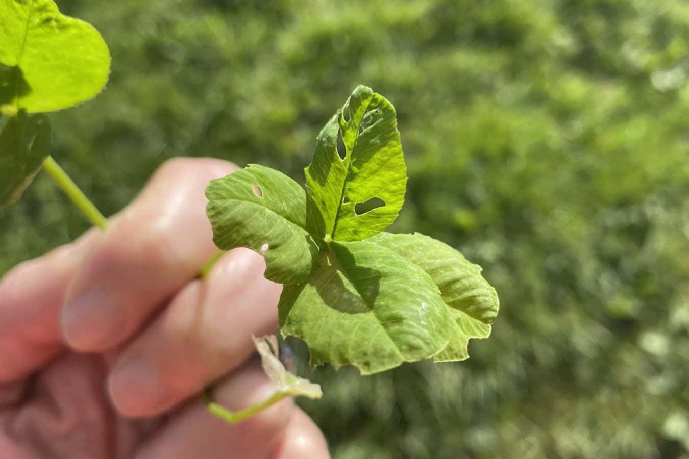 New Scientist. Science news and long reads from expert journalists, covering developments in science, technology, health and the environment on the website and the magazine.