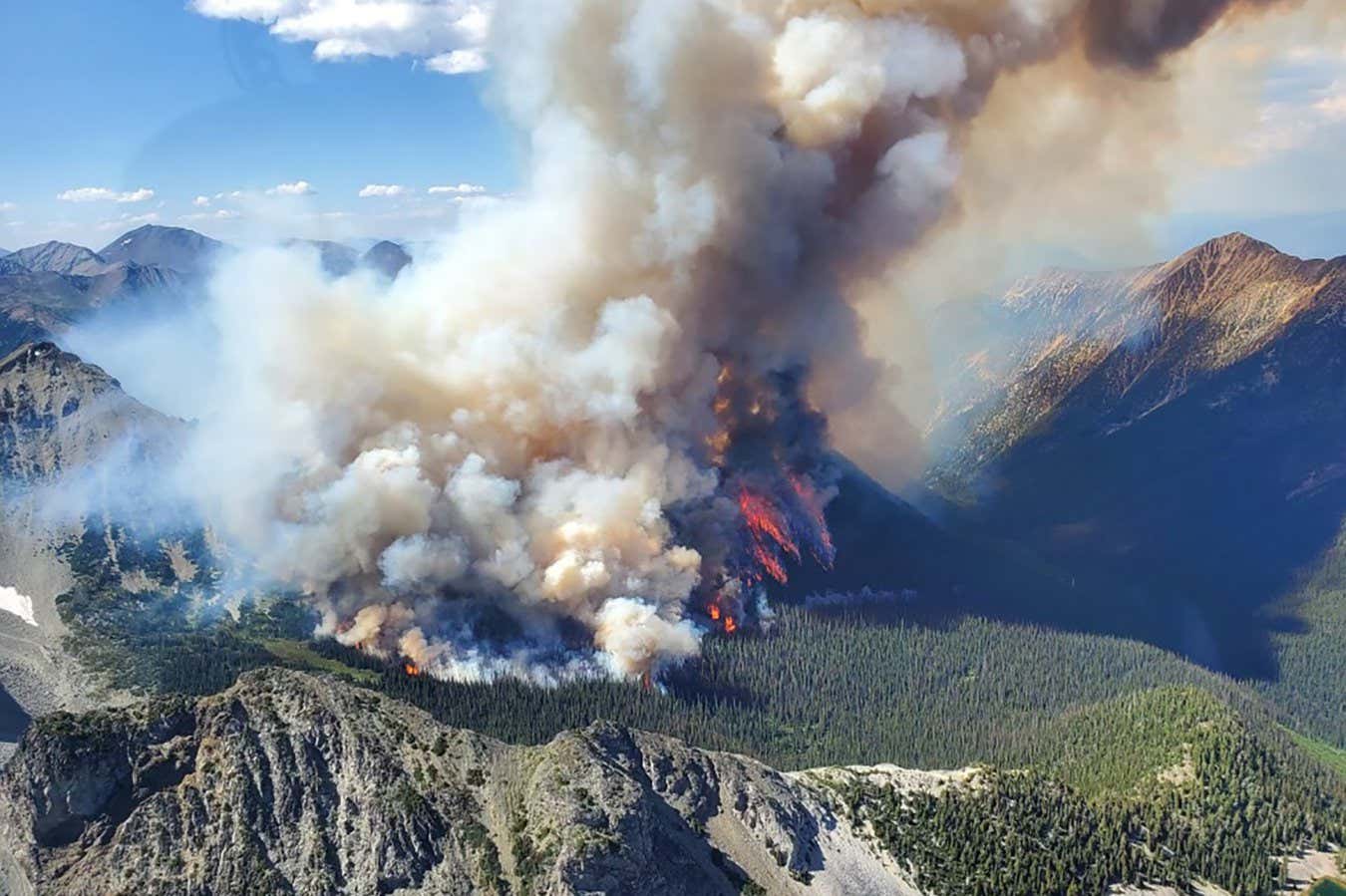 Wildfire in British Columbia on 10 July