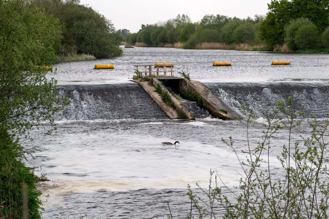 Mandatory Credit: Photo by Maureen McLean/Shutterstock (12908462g) Pollution on the Jubilee River adjacent to Slough Sewage Treatment Works managed by Thames Water. The Jubilee River is used regularly by open water swimmers and is a haven for migrating birds. During 2021, water companies discharged raw sewage into rivers in England 372,533 times. By 2040 the sewage discharges into rivers is targetted to be reduced by 40%, however, many environmentalists say this is too little, too late and that the directors of polluting water companies should be imprisoned as fines alone are not stopping regular sewage discharges into rivers Pollution, Jubilee River, Eton Wick, Windsor, Berkshire, UK - 23 Apr 2022