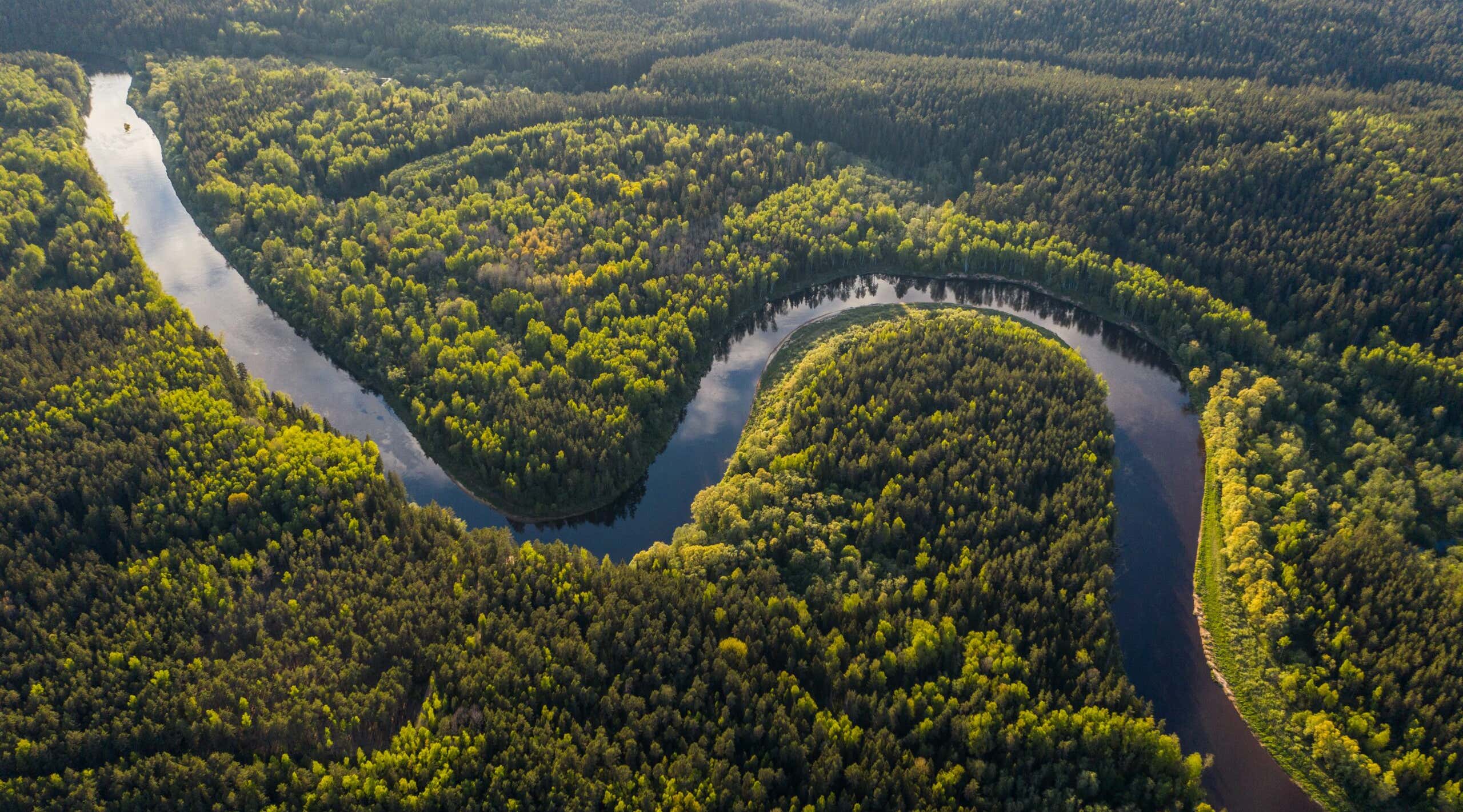 Aerial view of the Amazon river, green forest and winding river.