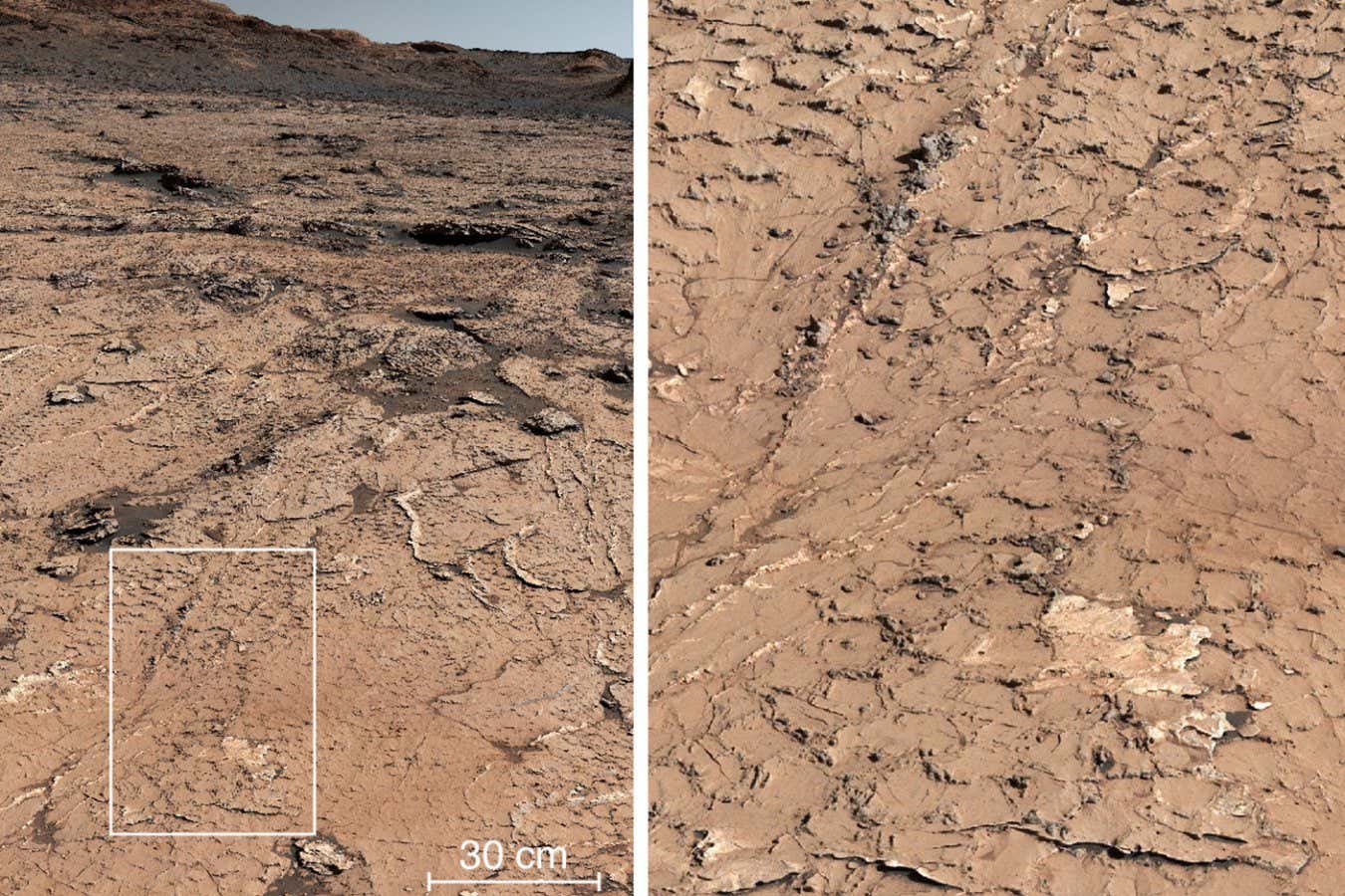 The Curiosity rover's observations of ridges in Gale crater on Mars