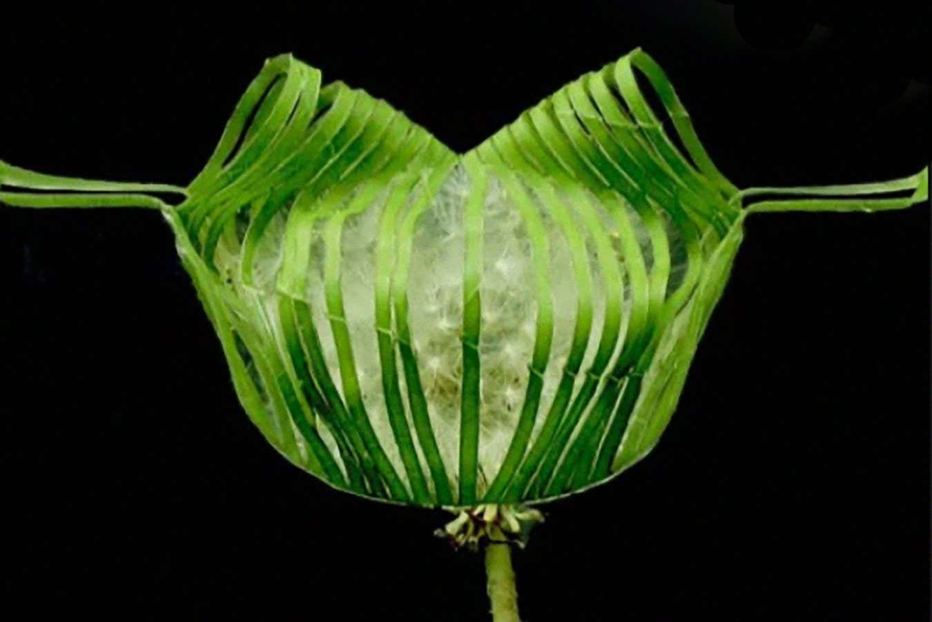 A leaf-based version of the robotic gripper