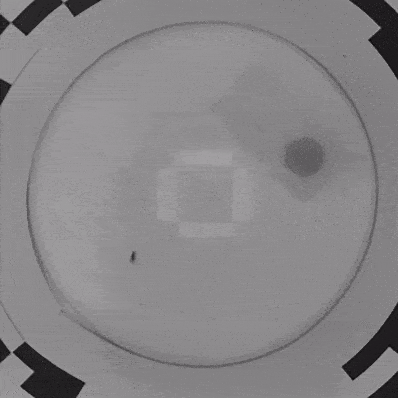 New Scientist. Science news and long reads from expert journalists, covering developments in science, technology, health and the environment on the website and the magazine.