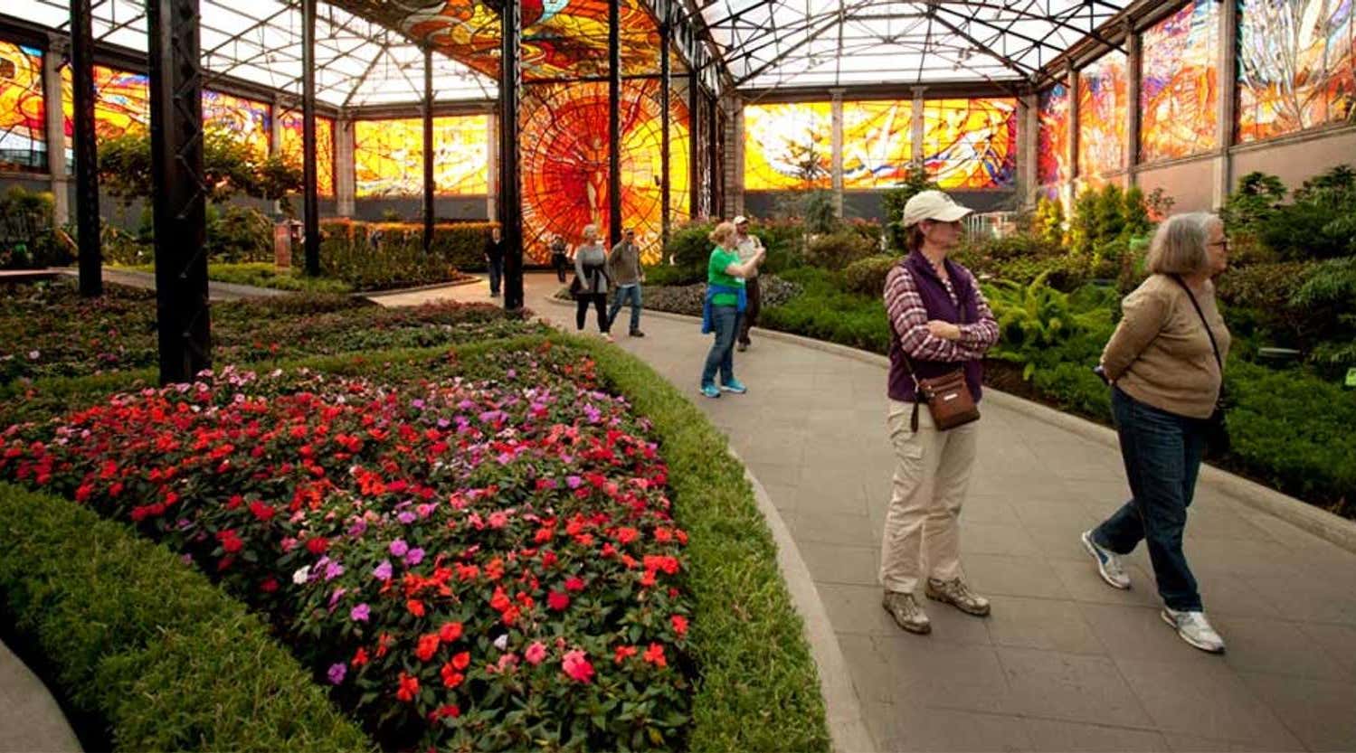 Exploring the botanical gardens in Mexico, Natural Habitat