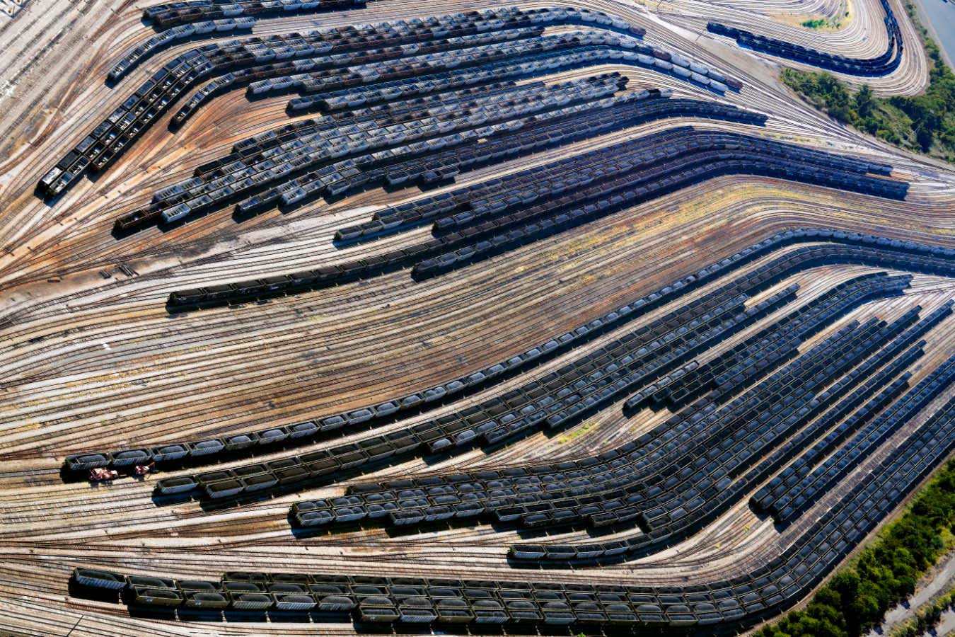 Train cars at terminal loaded with coal