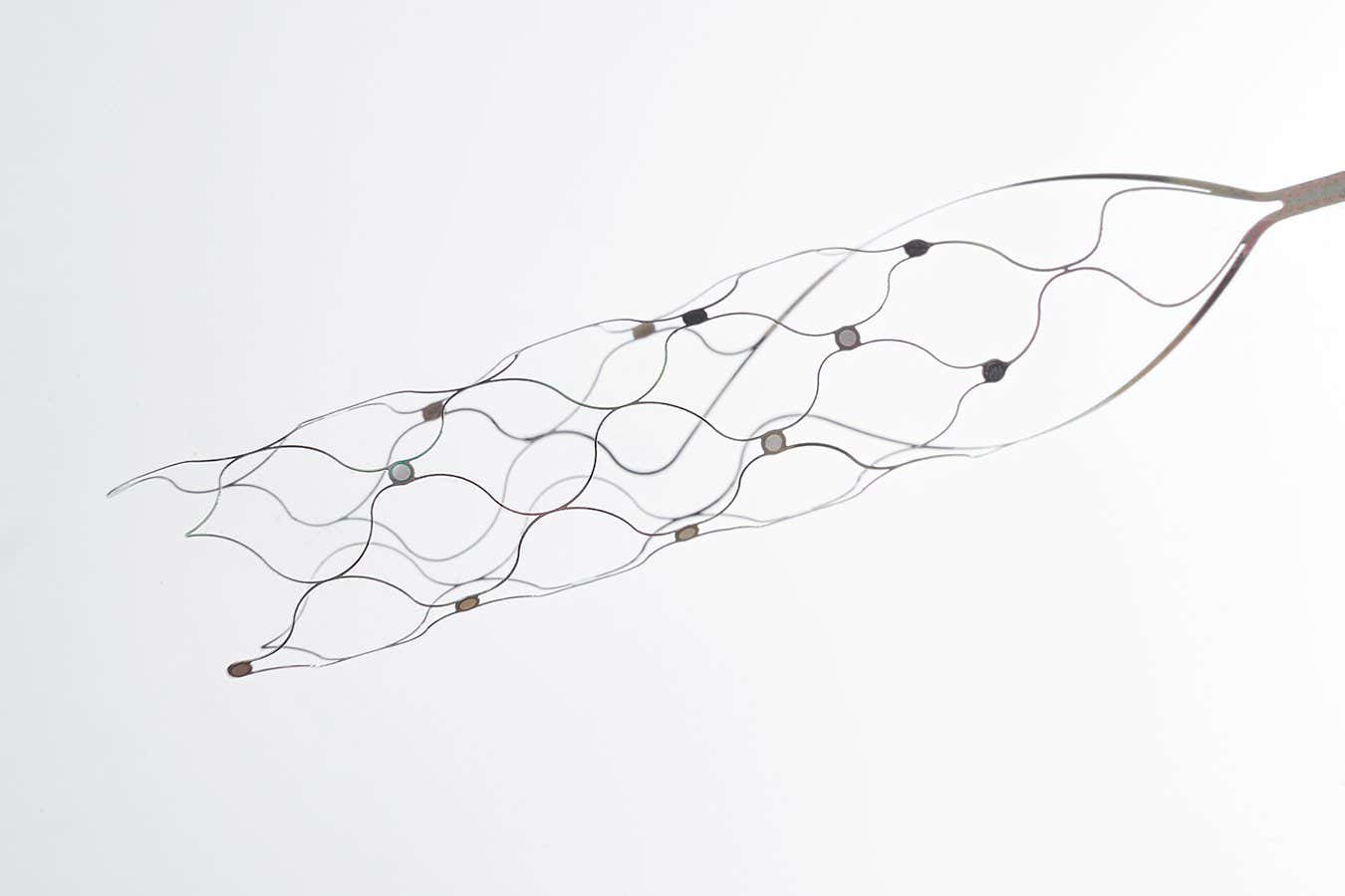 New Scientist. Science news and long reads from expert journalists, covering developments in science, technology, health and the environment on the website and the magazine.