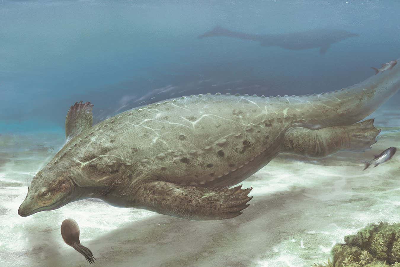 Artist illustration of Prosaurosphargis yingzishanensis