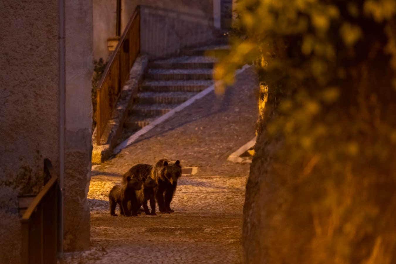 New Scientist. Science news and long reads from expert journalists, covering developments in science, technology, health and the environment on the website and the magazine.