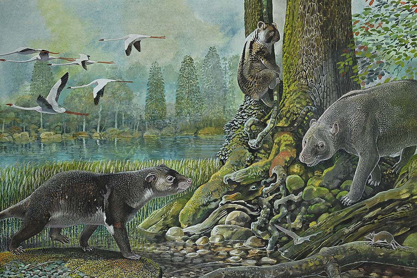 Reconstruction of an ancient marsupial ecosystem