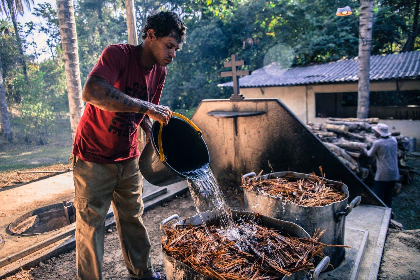 Men preparing the root and the leaves to be cooked together for the preparation of Ayahuasca tea. (Photo by: Giulio Paletta/Education Images/Universal Images Group via Getty Images)