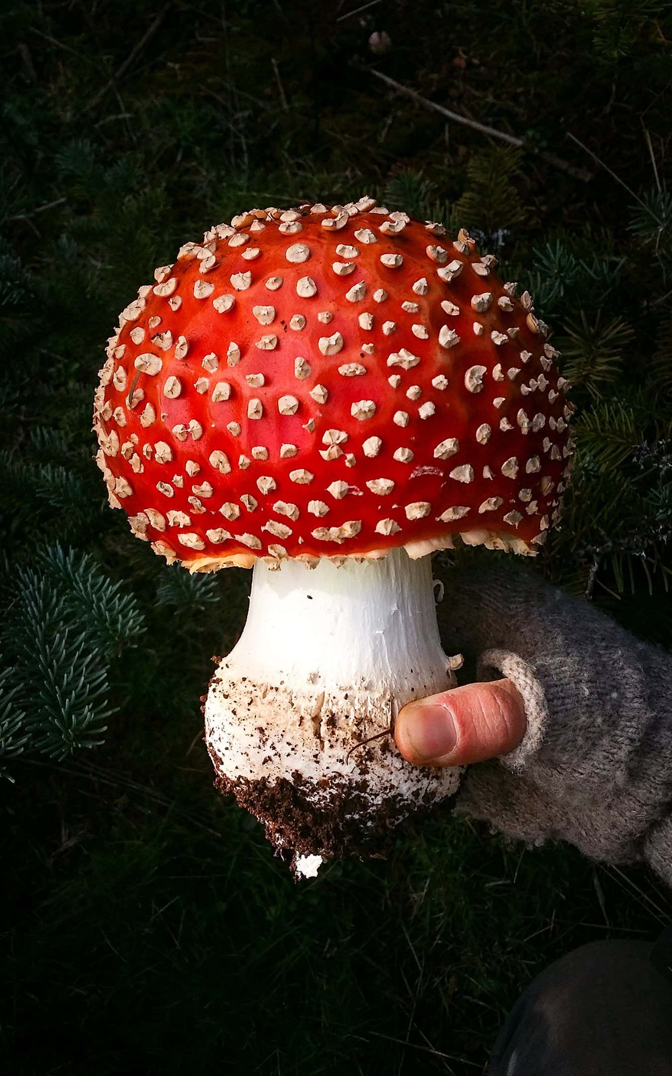 New Scientist. Science news and long reads from expert journalists, covering developments in science, technology, health and the environment on the website and the magazine.