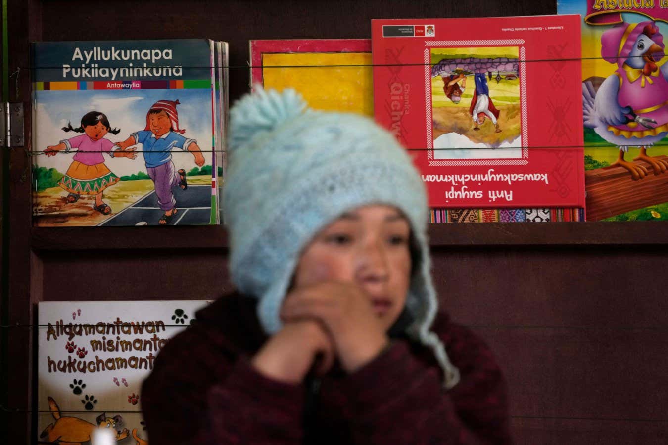 2MBG96A FILE - Books written in the Quechua Indigenous language sit behind a student during a class on medicinal plants, at a public primary school in Licapa, Peru, Wednesday, Sept. 1, 2021. About 10 million people speak Quechua, but trying to automatically translate emails and text messages into the most widely spoken Indigenous language family in the Americas was nearly impossible before Google introduced it into its digital translation service Wednesday, May 11, 2022. The internet giant says new artificial intelligence technology is enabling it to vastly expand Google Translate?s repertoire of the