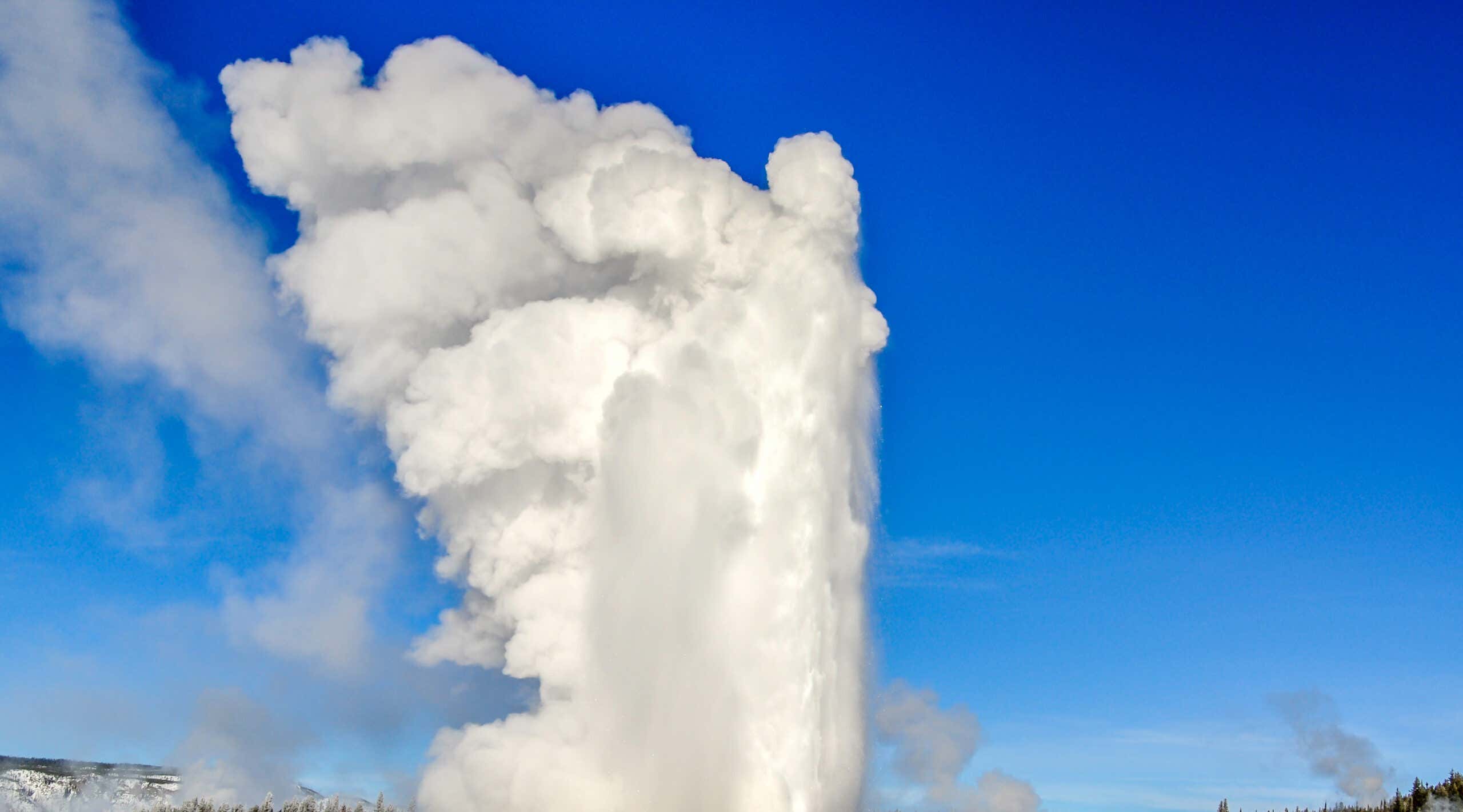 Old Faithful Geyser shoots upward towards the blue sky, Yellowstone National Park, USA