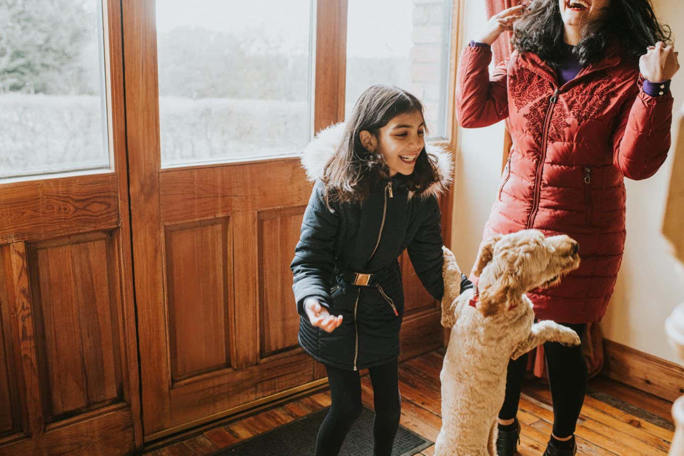 Sandy coloured male cockapoo dog leaps for joy to greet visitors at the front door. They laugh. The windows provide a space for copy.