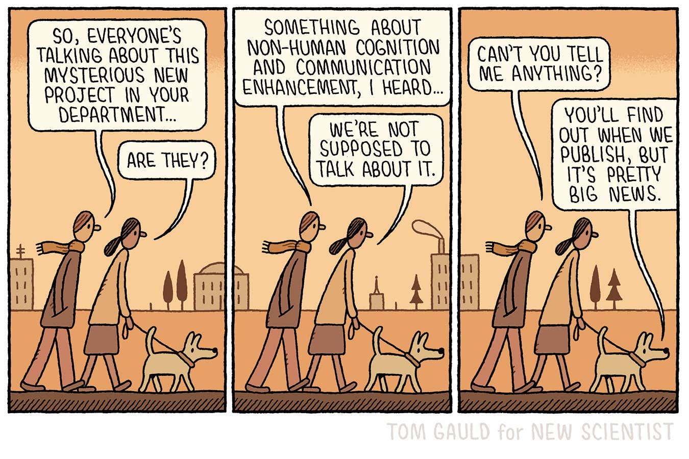 Tom Gauld on a mysterious new project