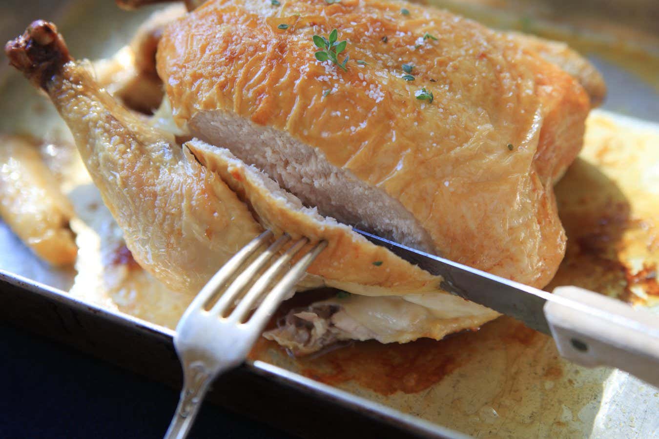 F3875E Slicing into the breast of a freshly roasted chicken in pan with juices