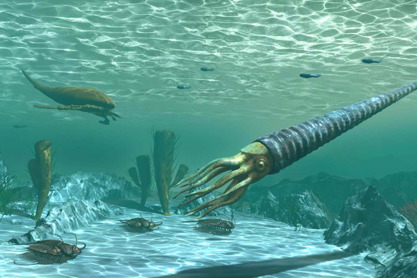 Sea life in the Ordovician period