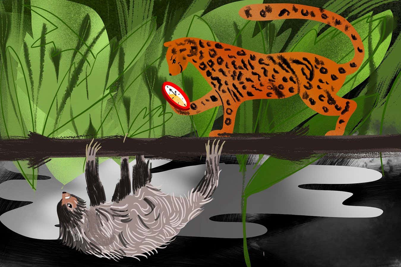 Too fast, too furious? Ocelot and sloth caught in highish-speed chase