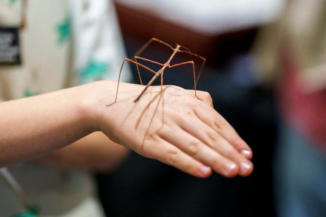 New Scientist. Science news and long reads from expert journalists, covering developments in science, technology, health and the environment on the website and the magazine.