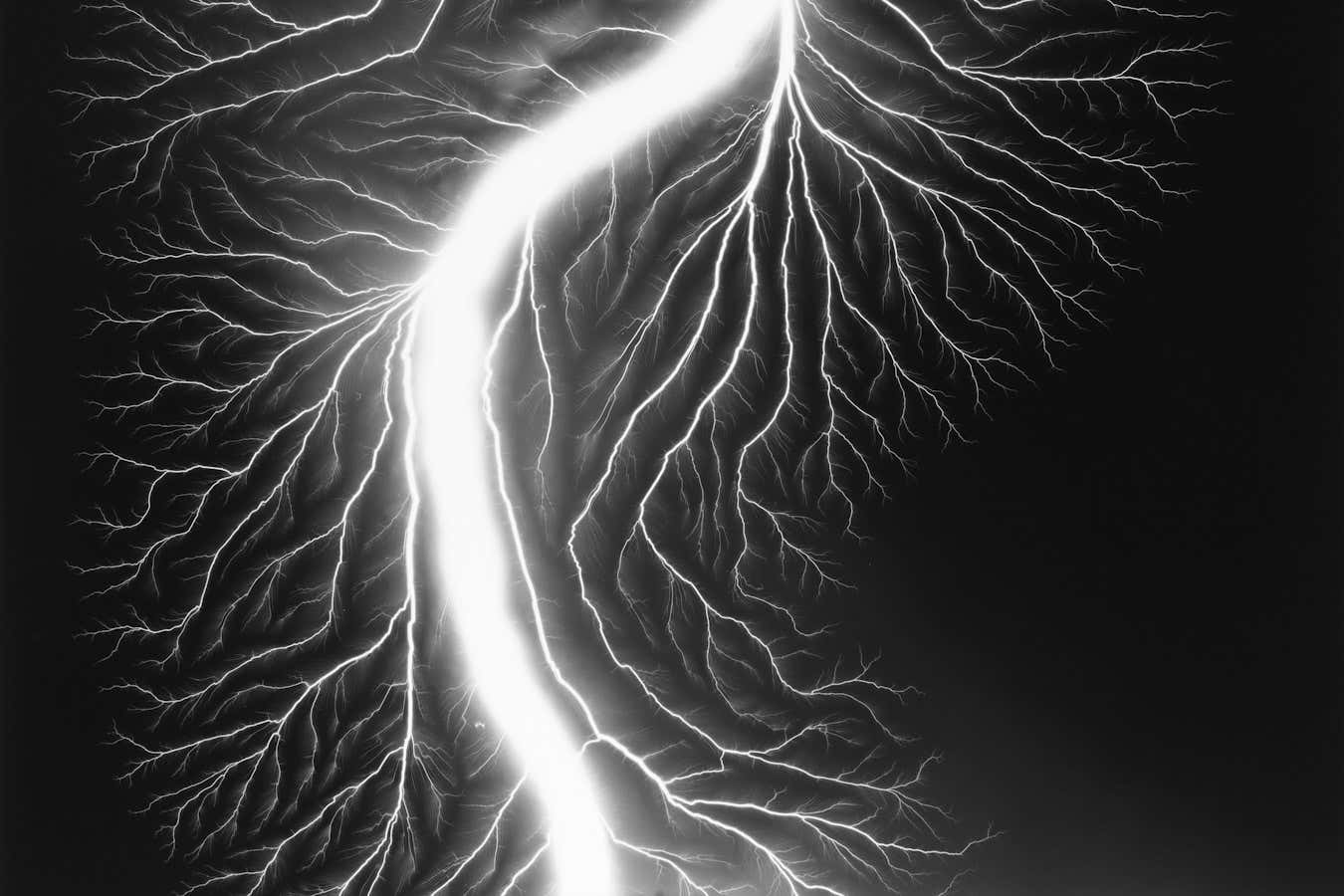 Hiroshi Sugimoto: 'I'm borrowing important scientists' experiences'