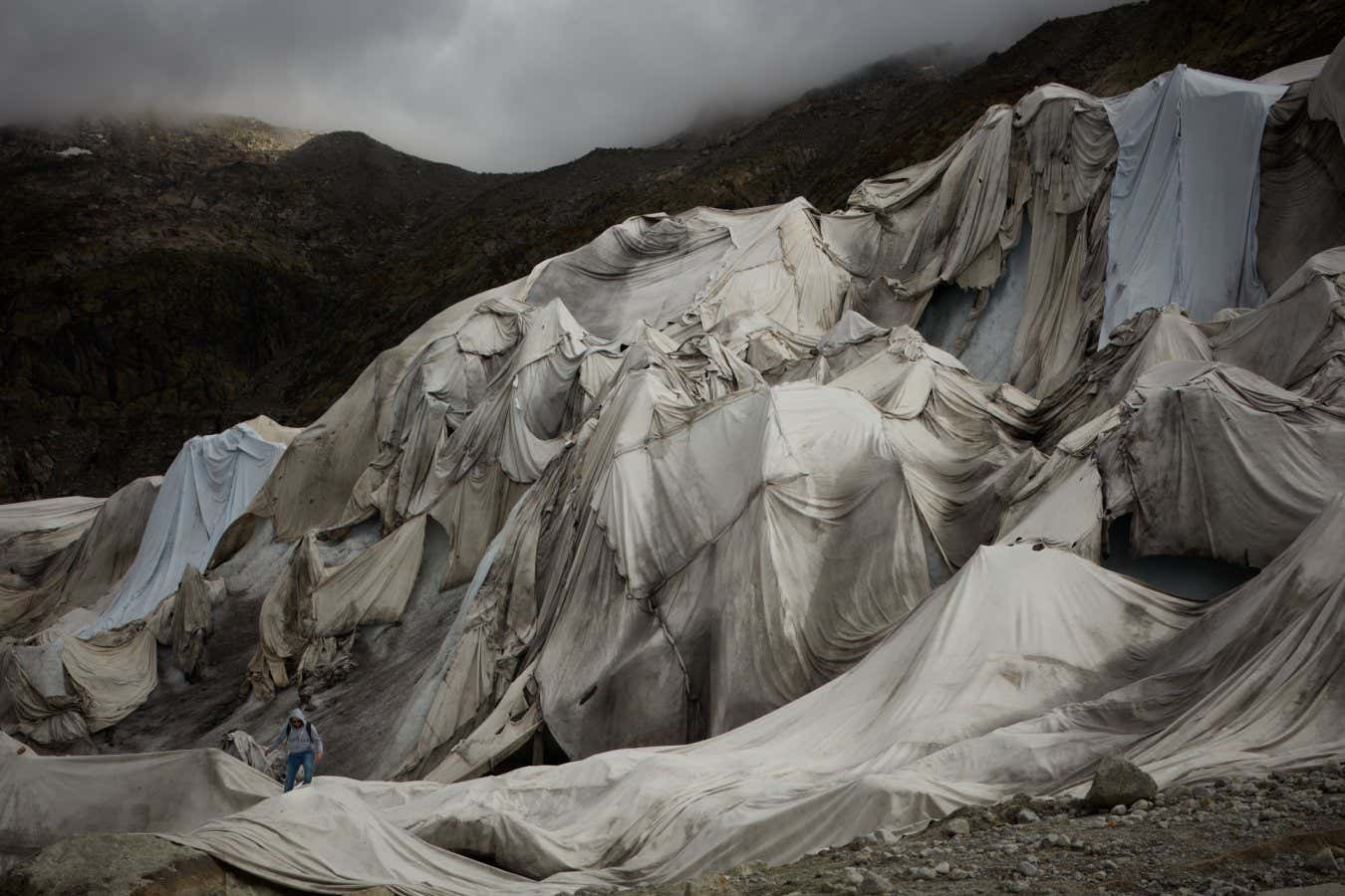 Name: Glacier Requiem Location: Rh?ne Glacier The picture presents a view of the Rhone Glacier, a significant entity in the Swiss Alps. However, the glacier's usual icy-blue appearance is replaced with a stark grey, a consequence of being covered in UV protection sheets. This intervention is a result of efforts to slow the glacier's rapid melting due to climate change. The sheets, an unconventional sight in such a natural landscape, offer a physical representation of the impact of global warming on our planet. A person, a small figure in the grand scheme of the landscape, is seen walking atop the sheets. This human presence serves as a reminder of our role in the glacier's current state and the measures being taken to protect it. The Rhone Glacier is a vital natural resource, playing several critical roles in the local and global ecosystem. As the primary source of the Rhone River, it provides essential freshwater for ecosystems and human activities downstream in Switzerland and France, supporting agriculture and hydroelectric power generation. The glacier's health directly affects these water-dependent systems. Furthermore, it's a significant climate change indicator. Its rapid retreat, losing around 40% of its volume in the past century, visually demonstrates the impacts of global warming. Additionally, the glacier supports unique alpine ecosystems and contributes to biodiversity. Paulo Sousa from Porto, Portugal Winner of Photographer of the Year