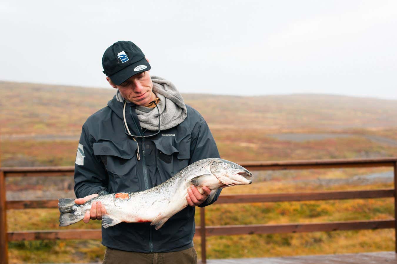 A volunteer from the North Atlantic Salmon Fund with one of the escapee salmon