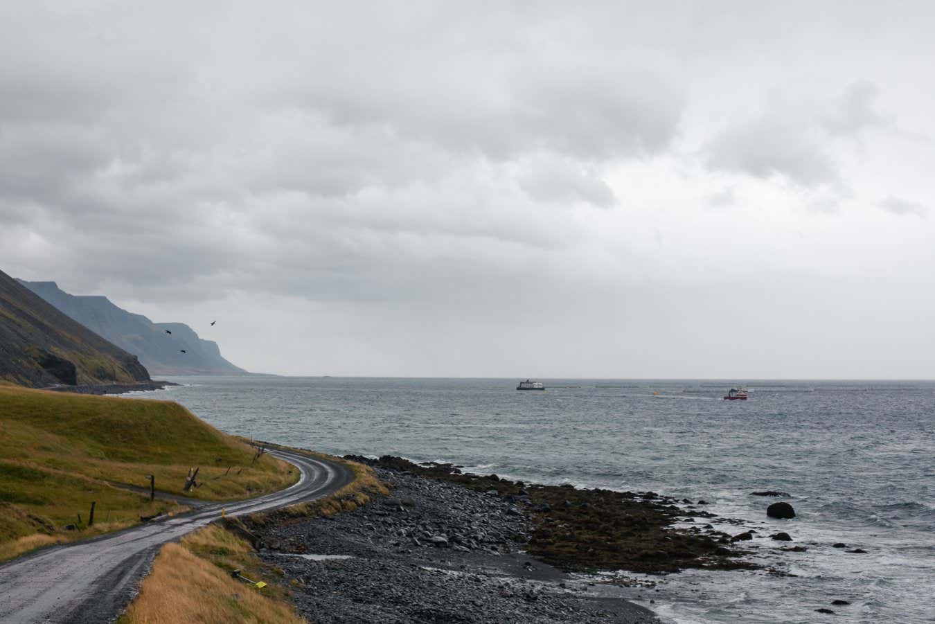 Field Notes - Graham Lawton