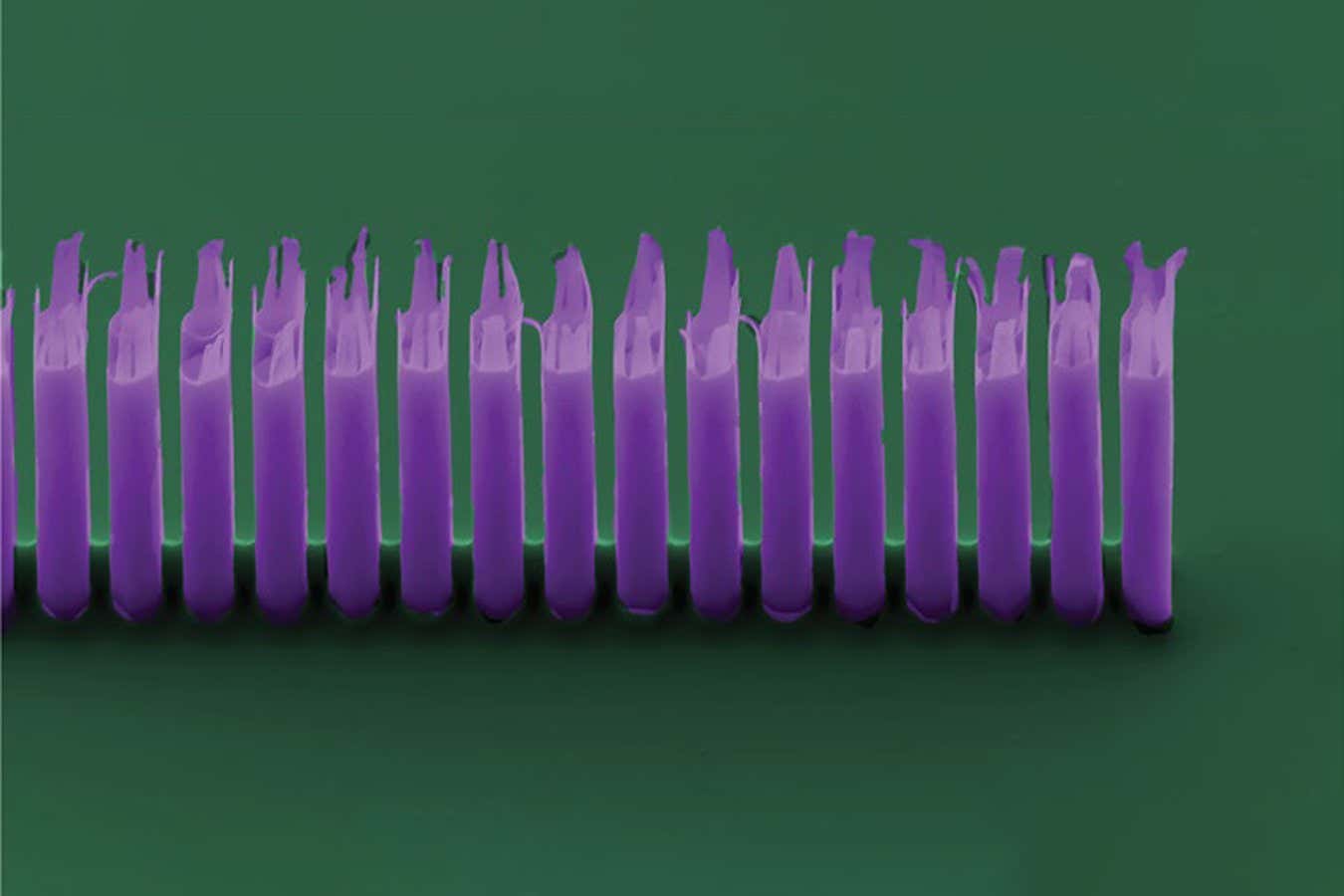 Tiny particle accelerator