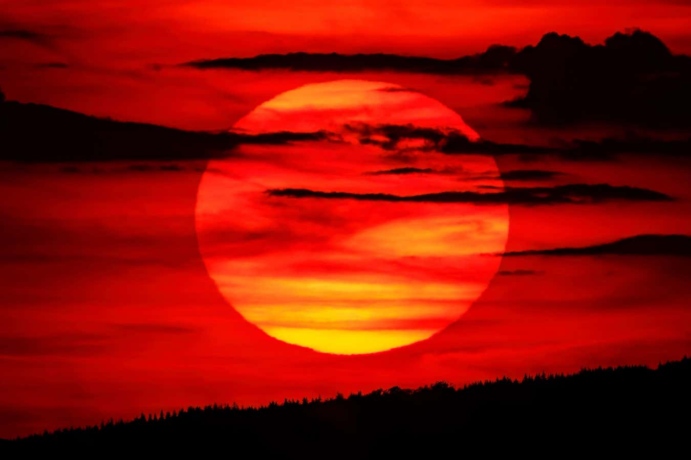 New Scientist. Science news and long reads from expert journalists, covering developments in science, technology, health and the environment on the website and the magazine.