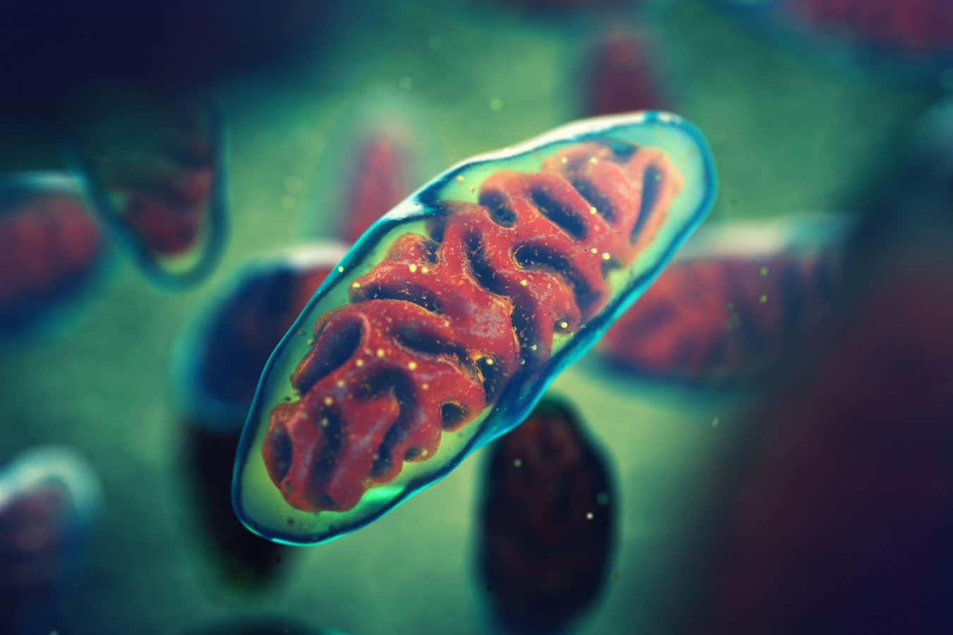 Artist's impression of mitochondria