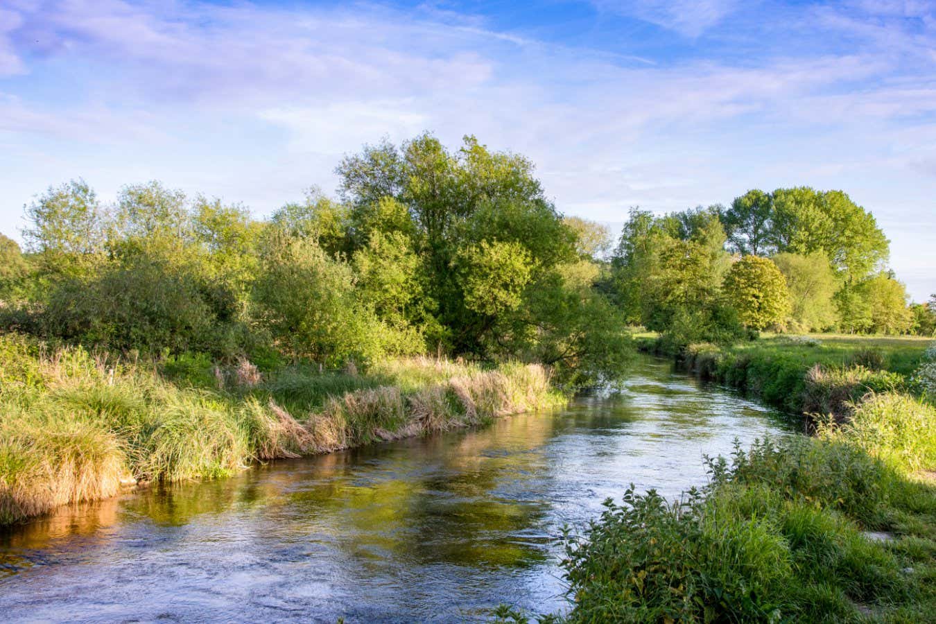 River Itchen early evening, near Winchester, Hampshire, UK; Shutterstock ID 639437338; purchase_order: -; job: -; client: -; other: -