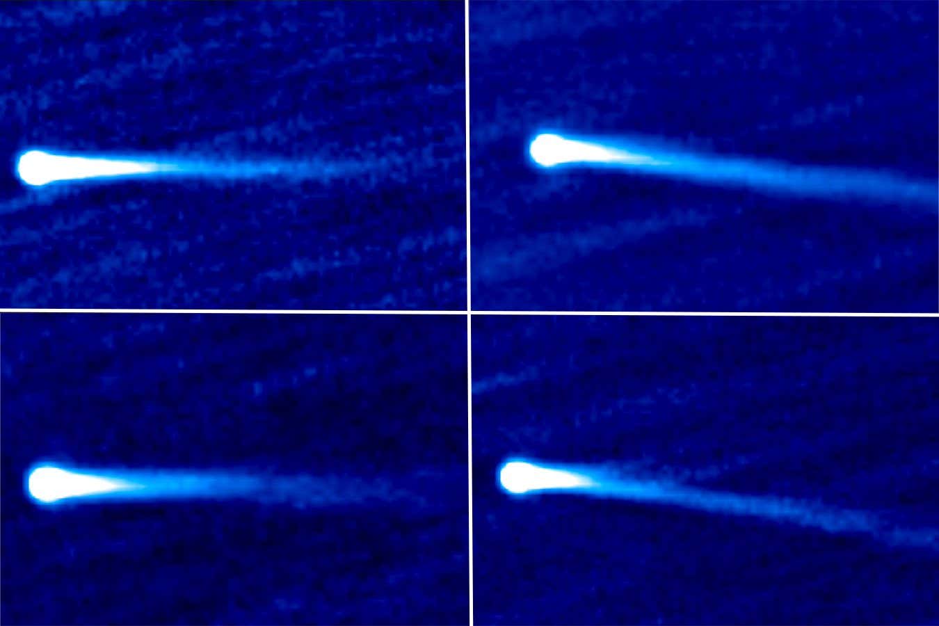A comet wagged its tail as it flew past the sun