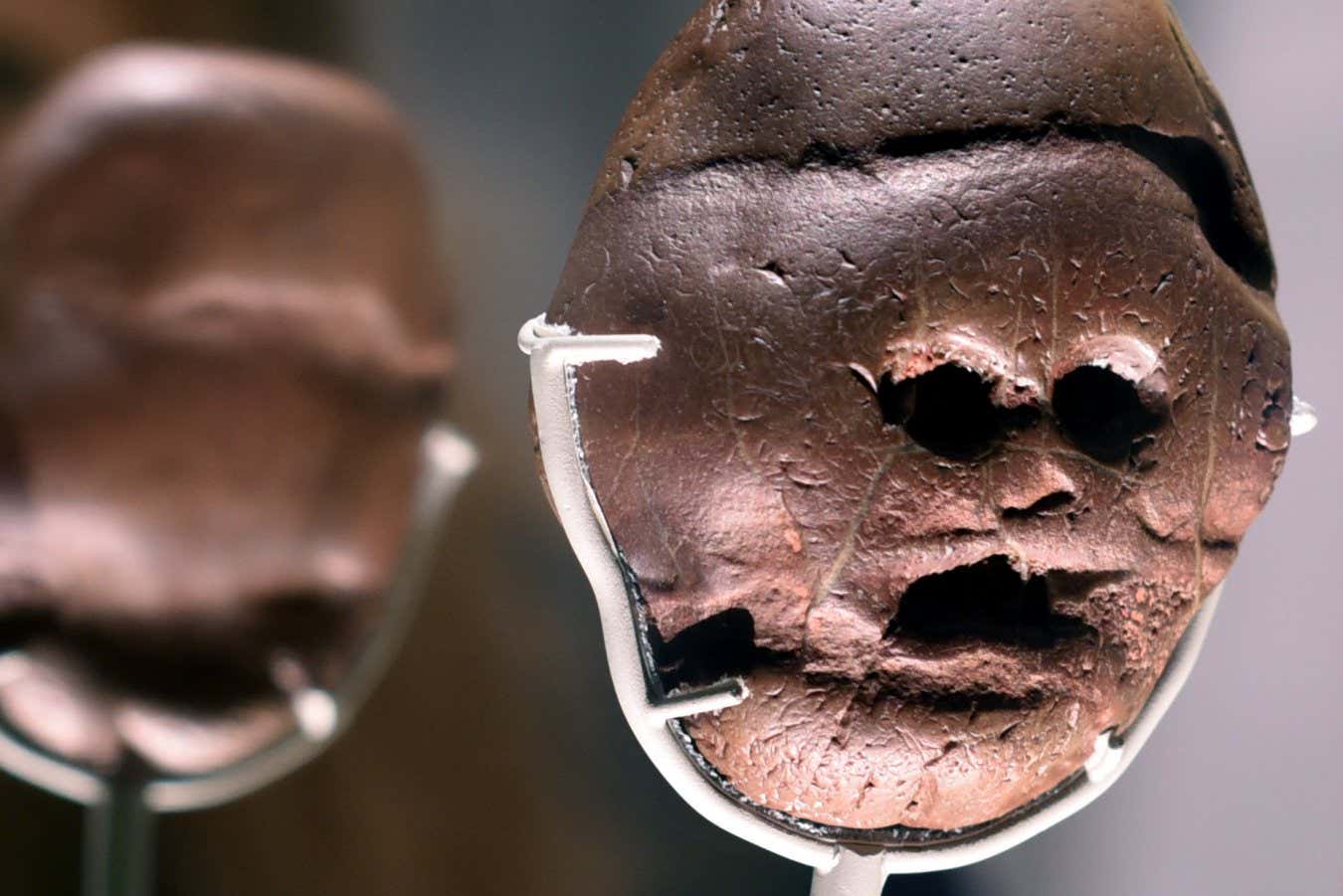 The Makapansgat pebble is seen on display as part of the exhibition 