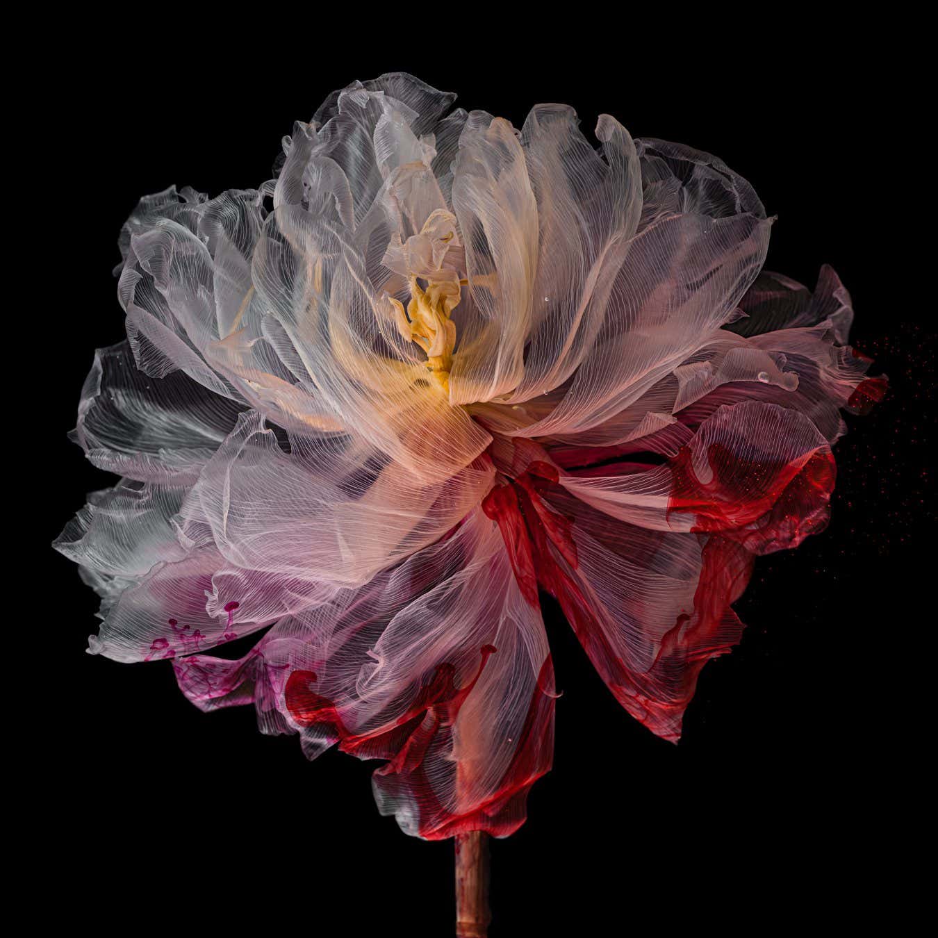 New Scientist. Science news and long reads from expert journalists, covering developments in science, technology, health and the environment on the website and the magazine.