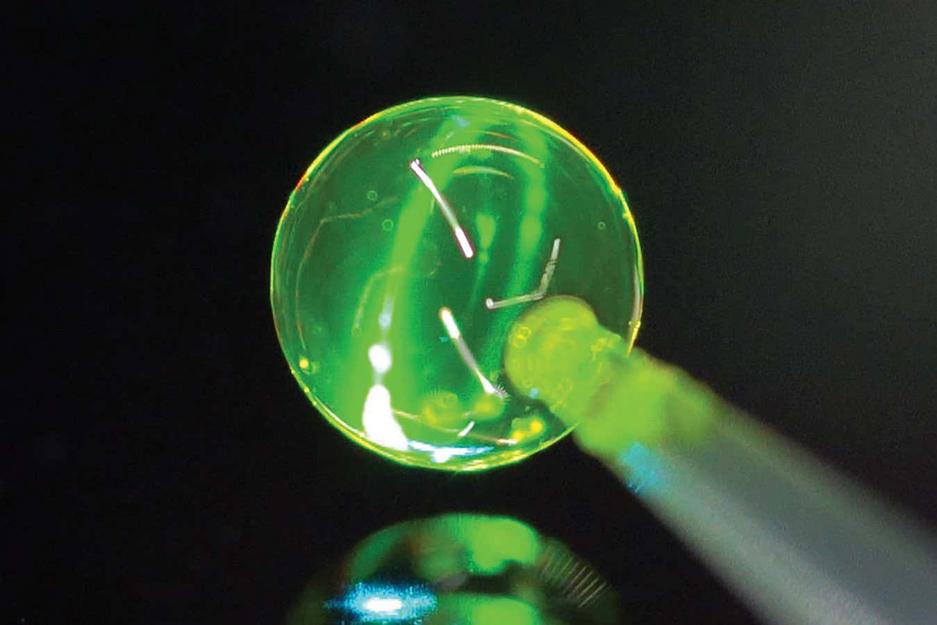 soap bubble