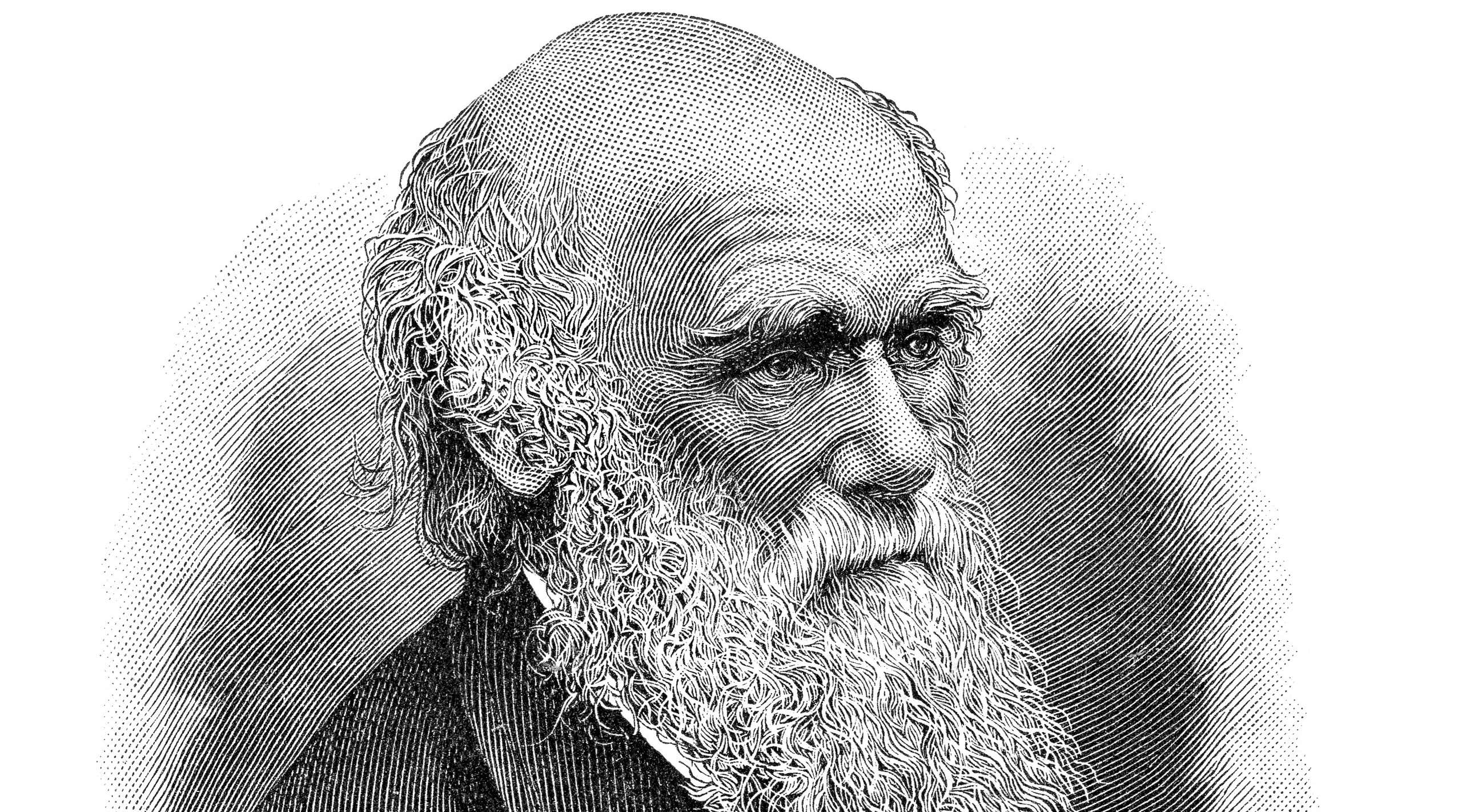Steel engraving of naturalist Charles Darwin Original edition from my own archives Source : Meyers Konversations Lexikon 6.Auflage 1903