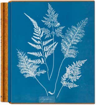 Anna Atkins. Cyanotypes book jacket