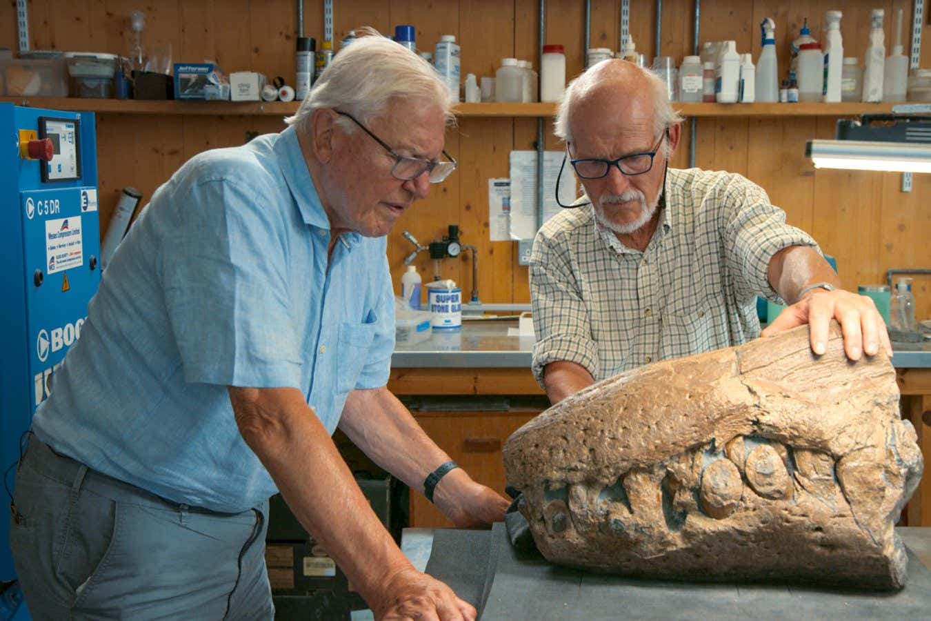 Attenborough and the Giant Sea Monster,01-01-2024,Sir David Attenborough, Steve Etches,Sir David Attenborough and Steve Etches examine the fossilised snout of a pliosaur in the workshop of the Etches Collection Museum, Kimmeridge, Dorset, UK **STRICTLY EMBARGOED NOT FOR PUBLICATION UNTIL 00:01 HRS ON MONDAY 11TH DECEMBER 2023**,BBC Studios,Screengrab